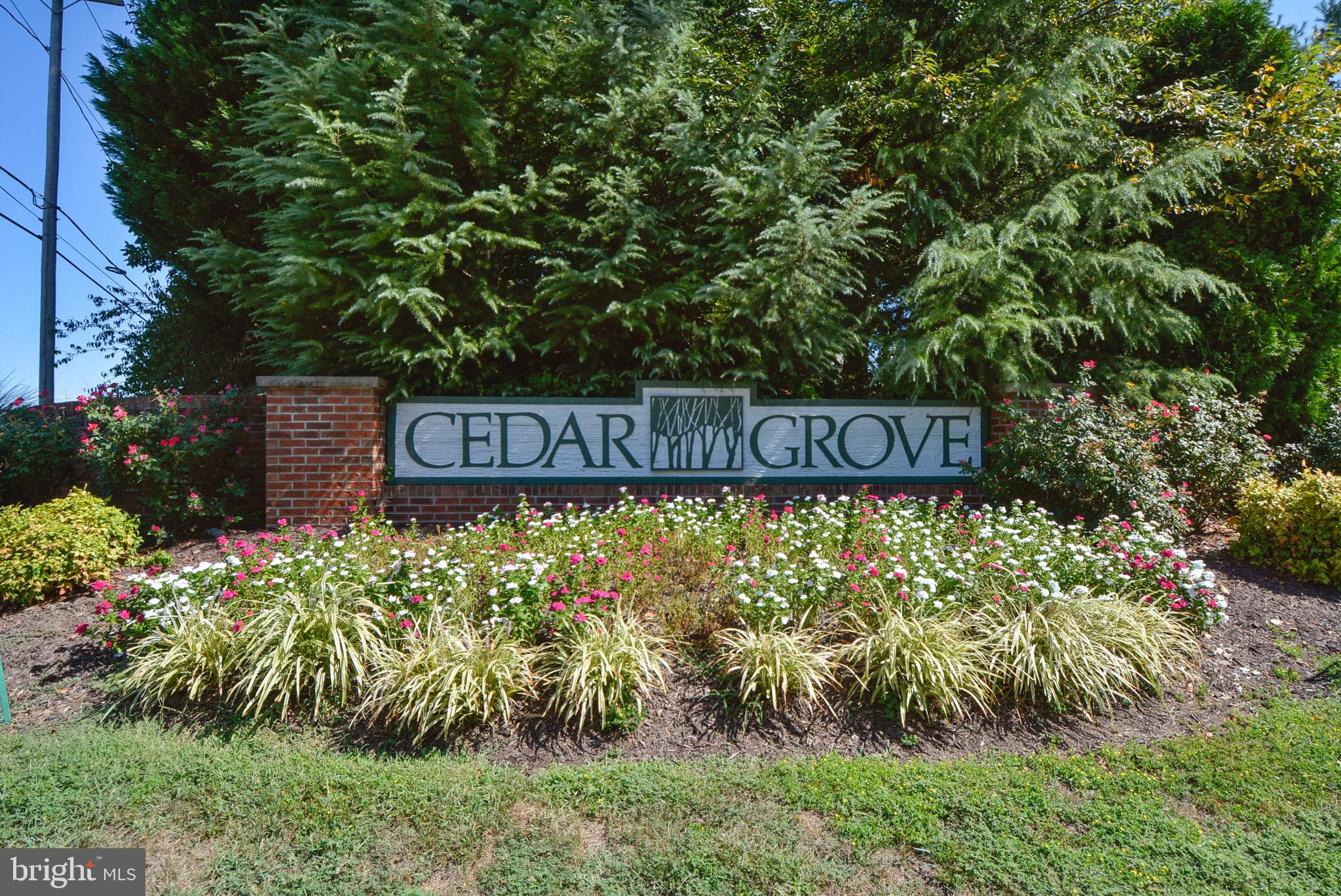 CEDAR GROVE AT CROFTON - Residential