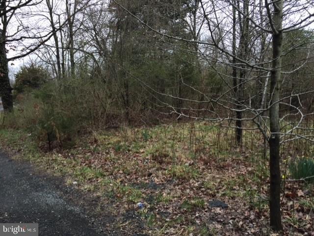 BELL (TOTAL OF FIVE (5) LOTS) ROAD