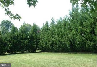 LONAS ADDITION - Residential