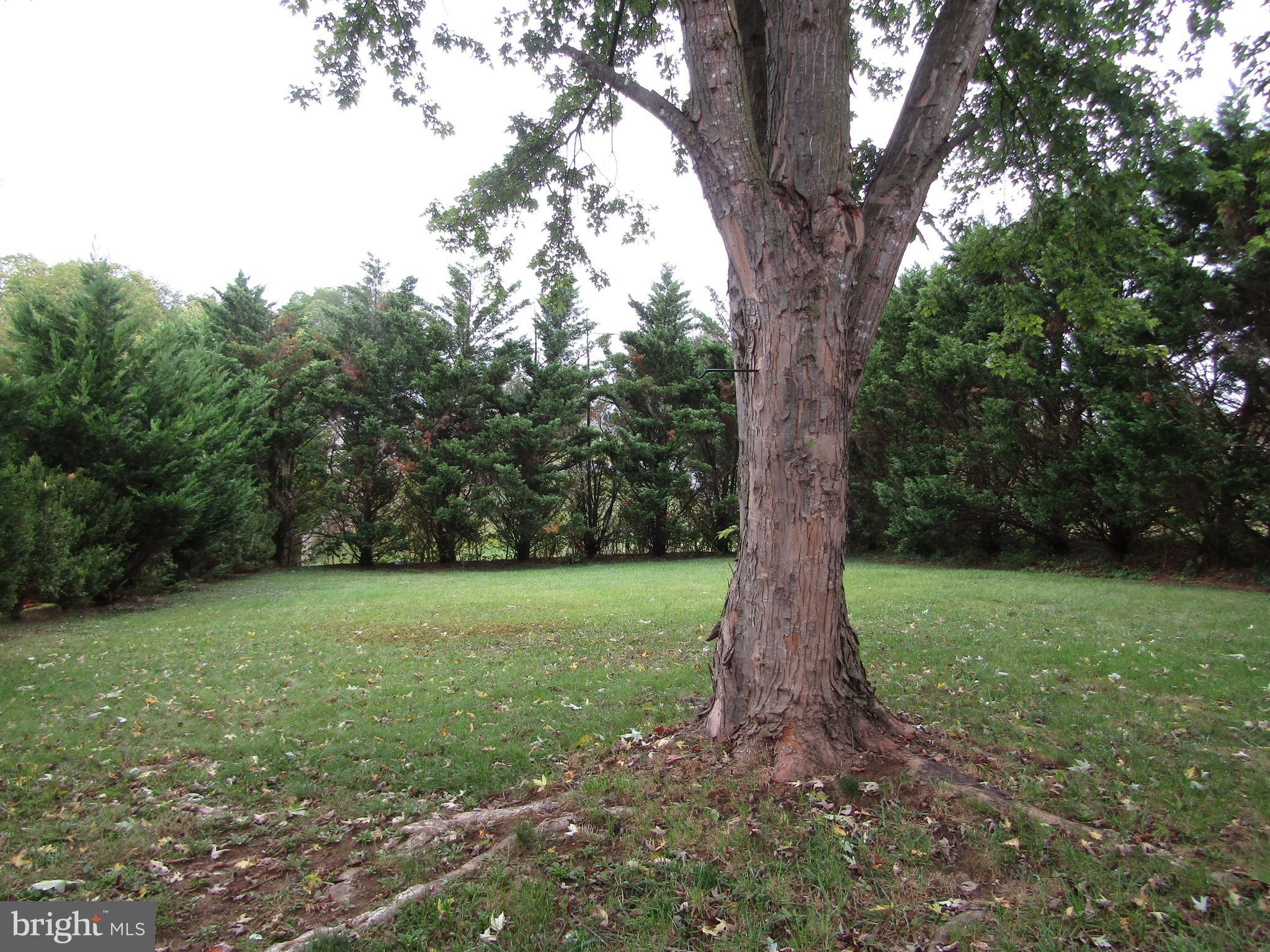 LONAS ADDITION - Residential