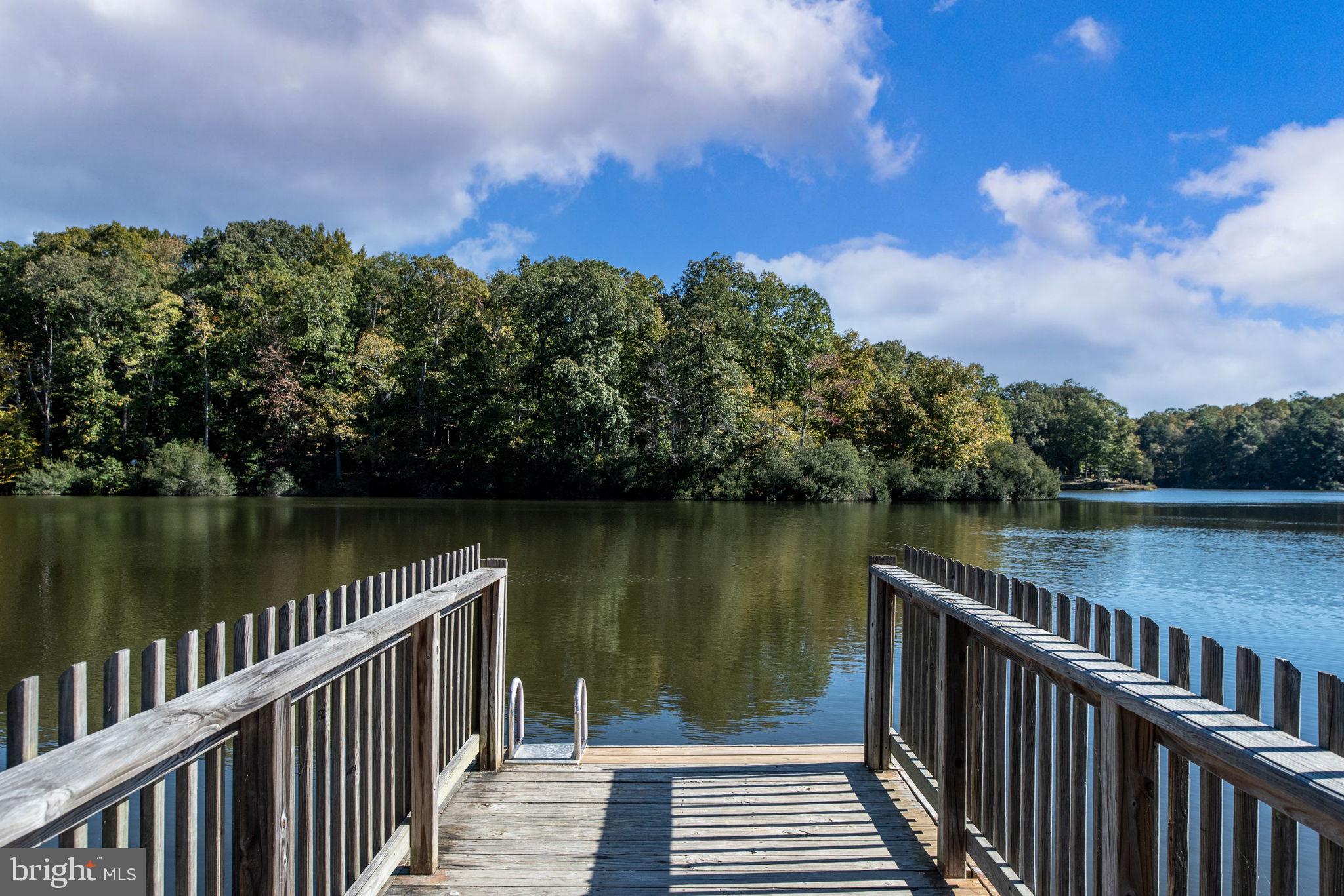 PRESIDENTIAL LAKES - Residential