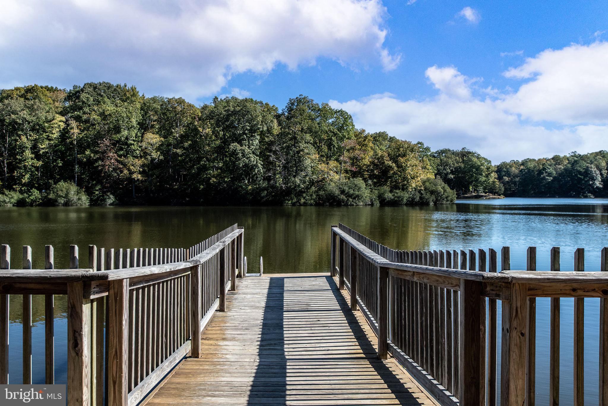 PRESIDENTIAL LAKES - Residential