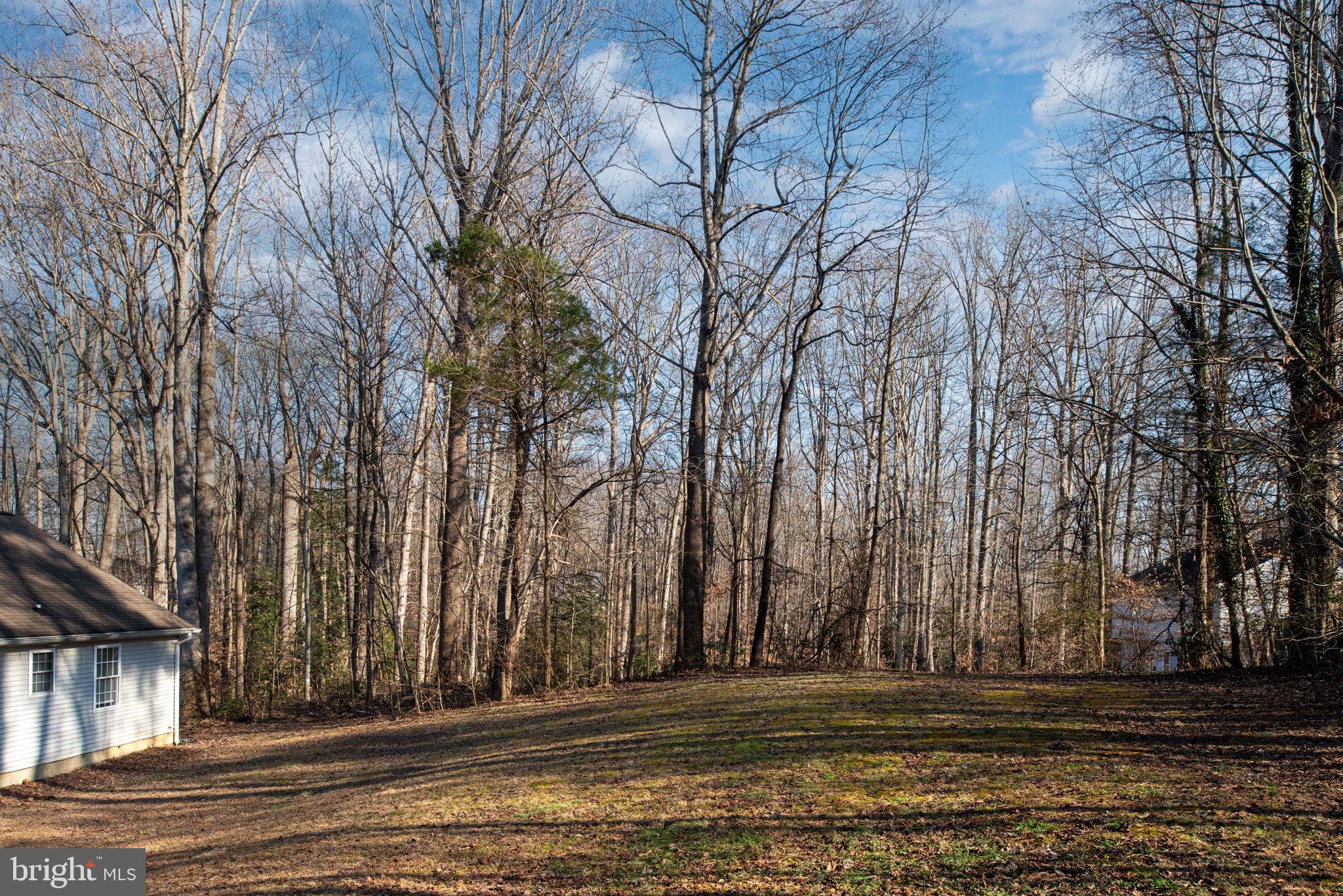 PRESIDENTIAL LAKES - Residential