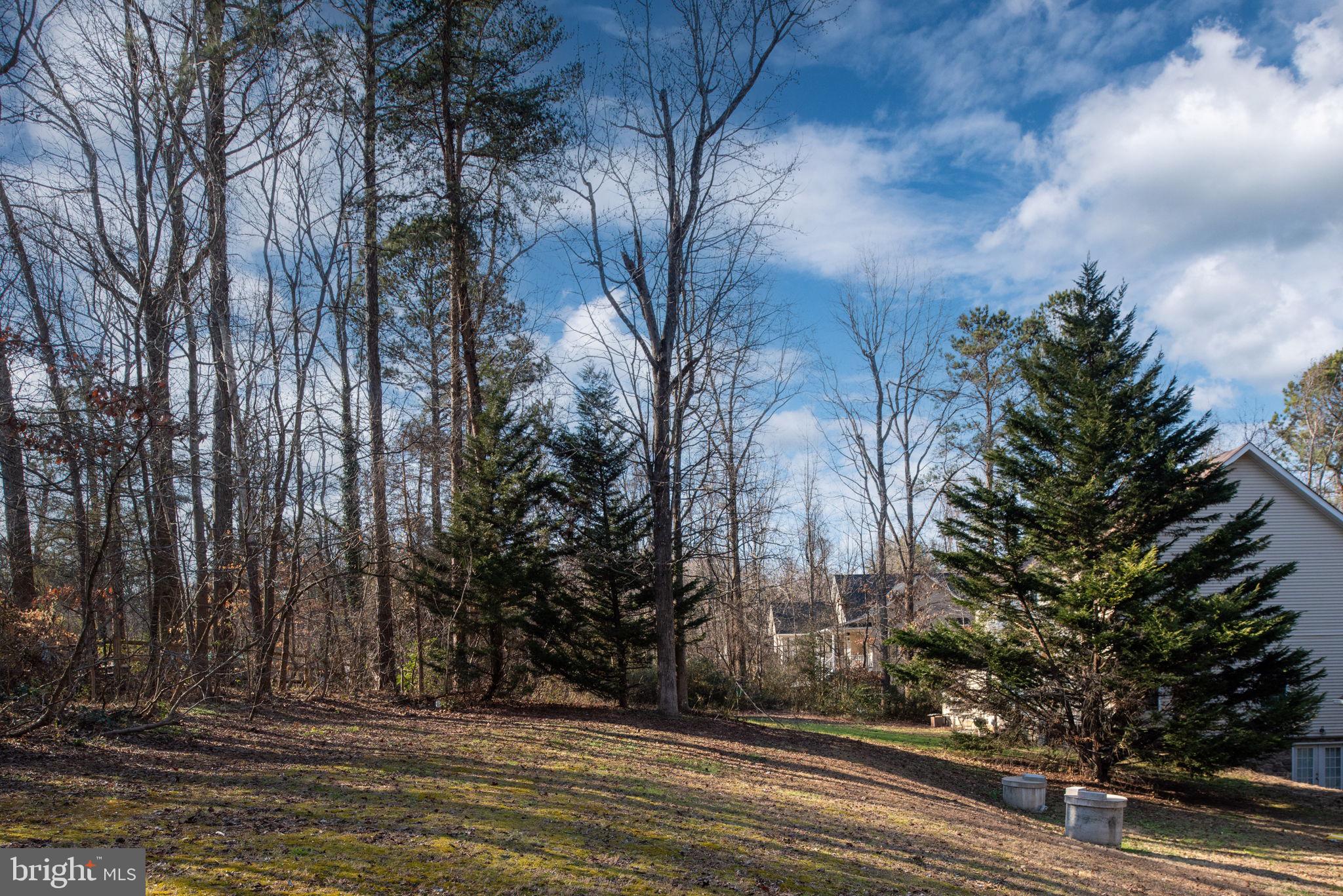 PRESIDENTIAL LAKES - Residential