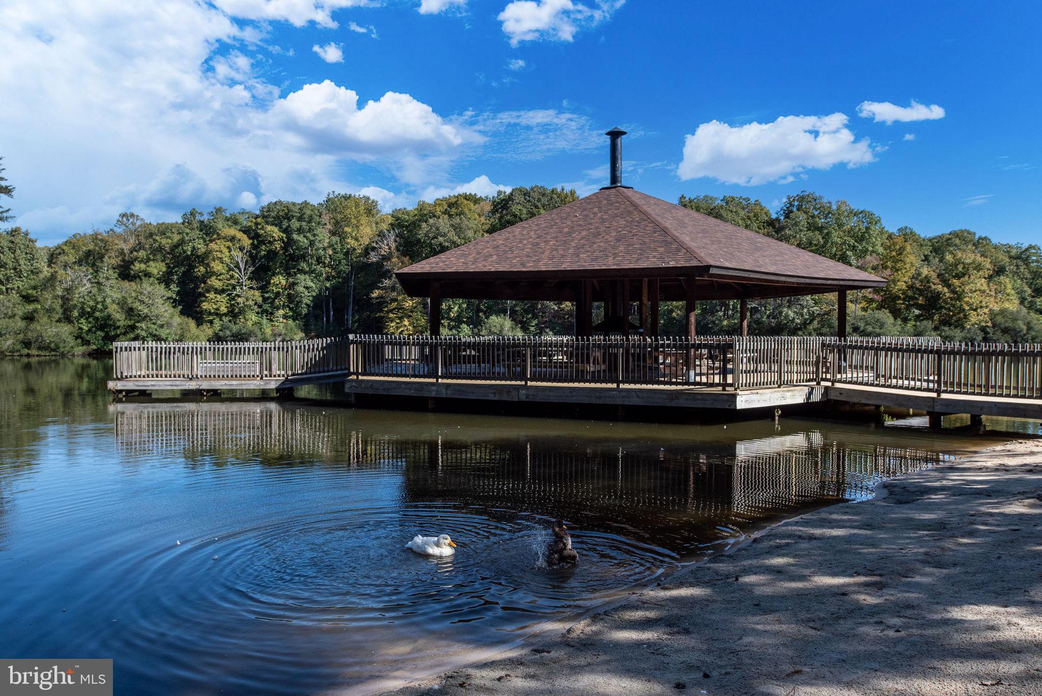 PRESIDENTIAL LAKES - Residential
