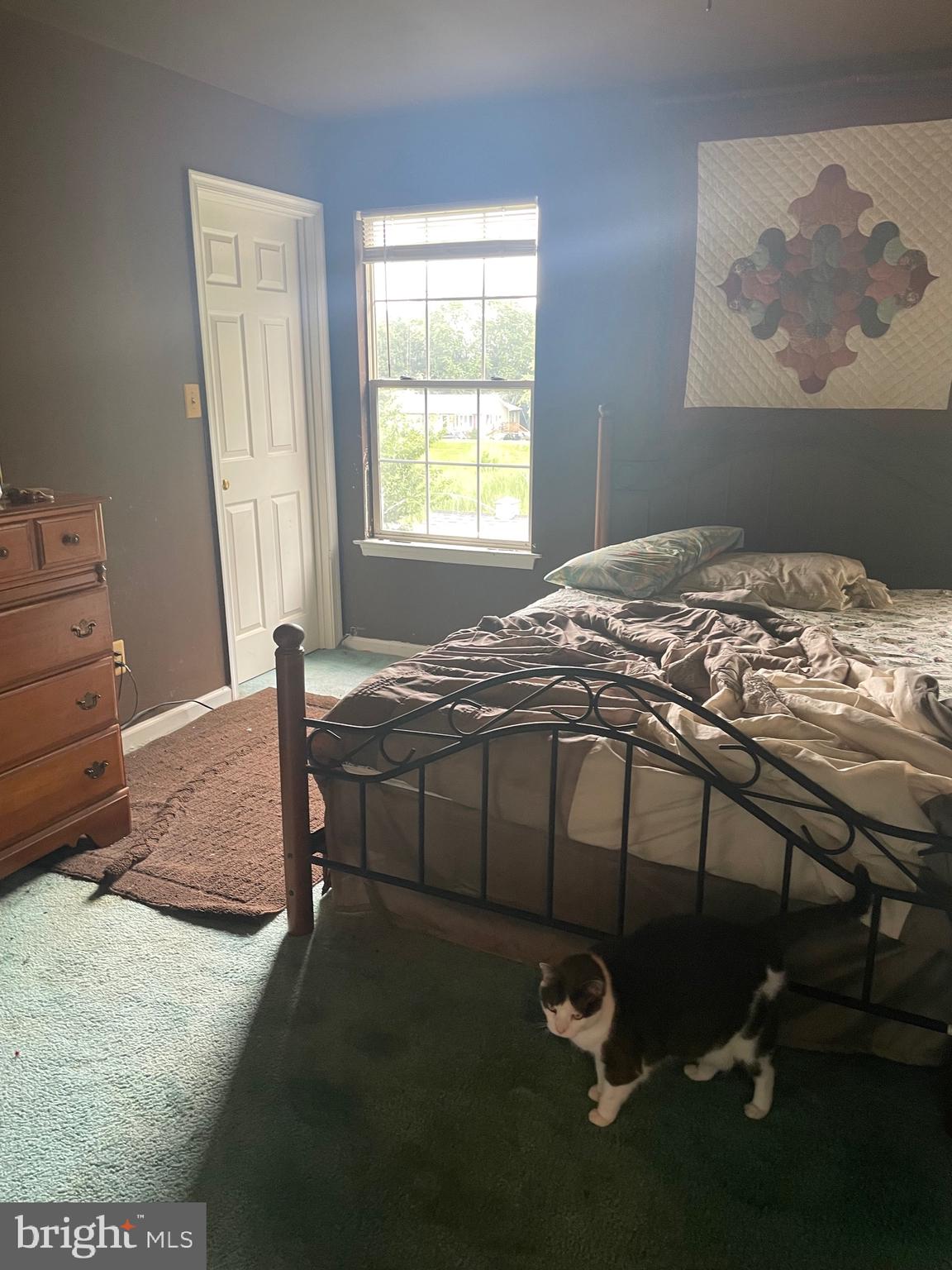 CHESAPEAKE LANDING - Residential