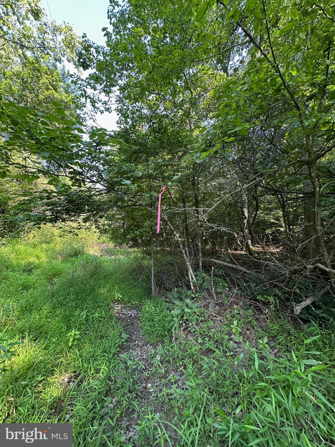 STOKES AIRPORT ROAD