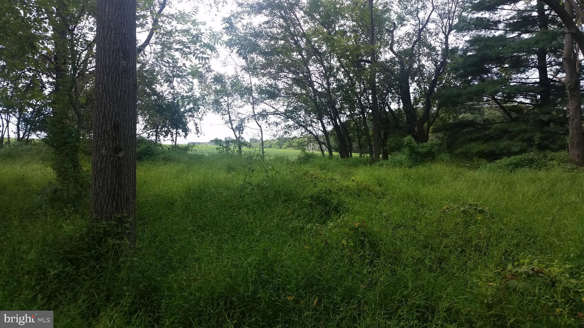 FREELAND/PARKTON - Residential