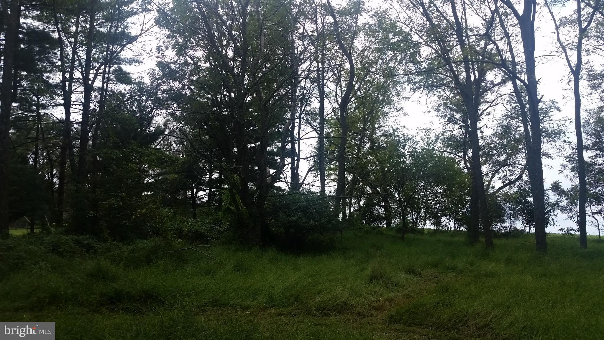 FREELAND/PARKTON - Residential