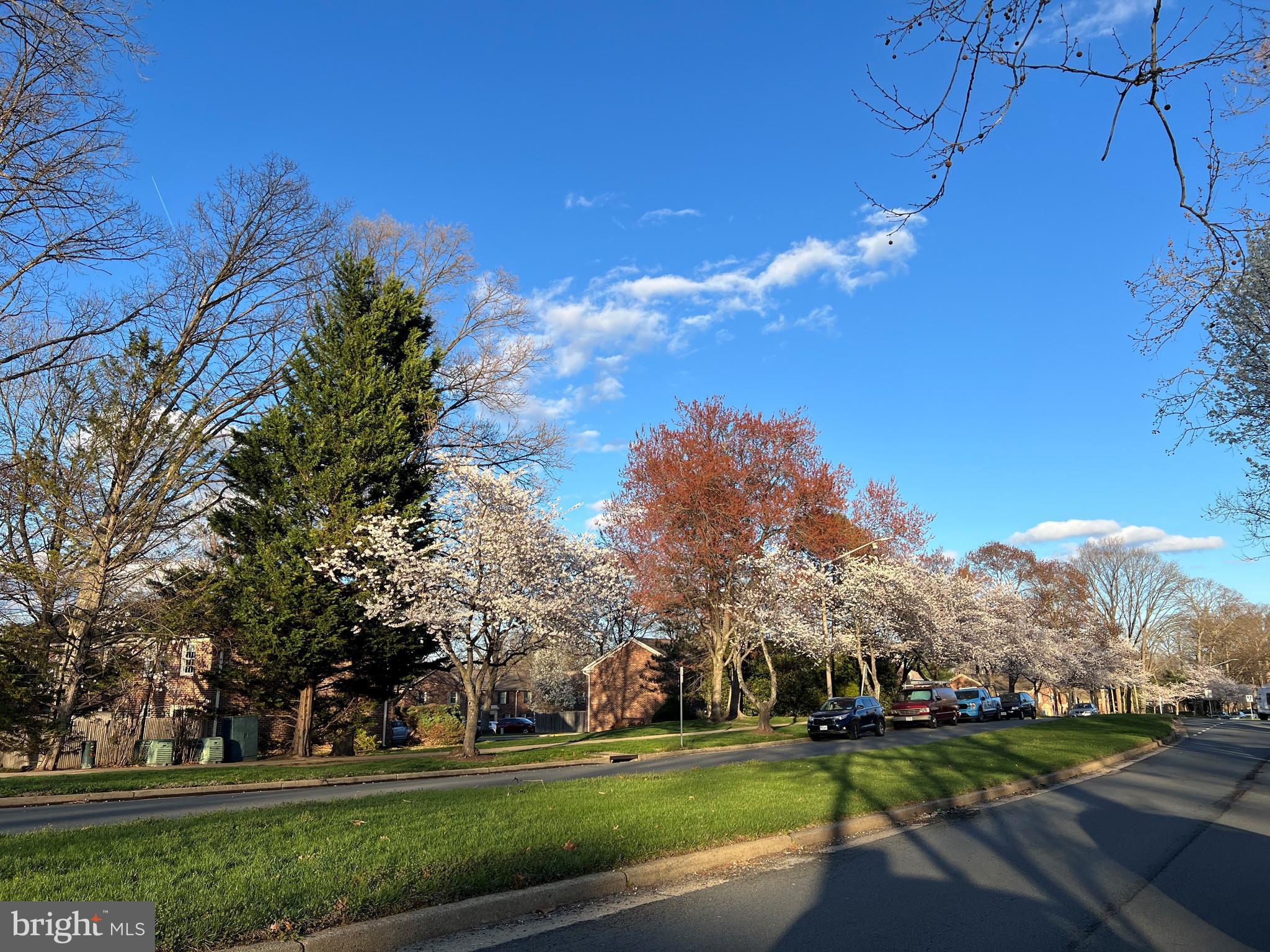 CHARLESTOWN - Residential