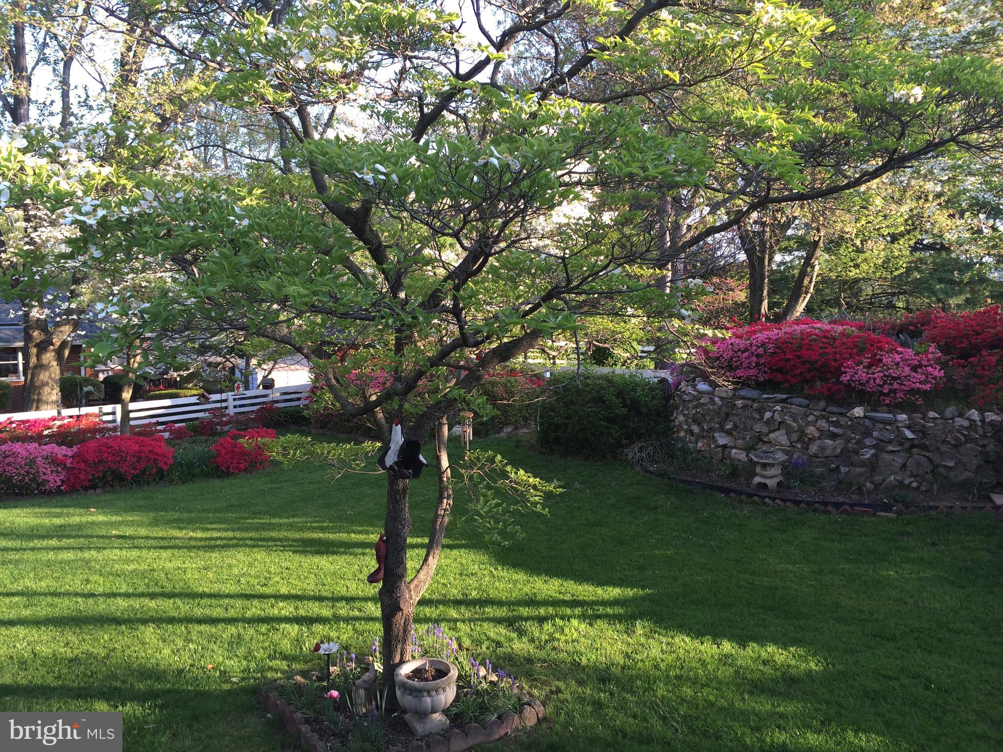 BROYHILL CREST - Residential