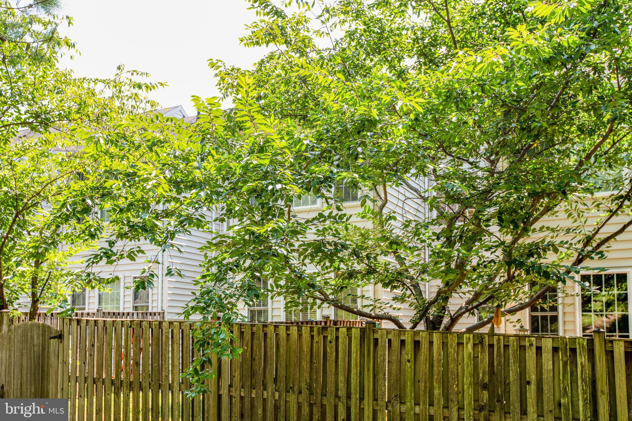 RIVER OAKS - Residential