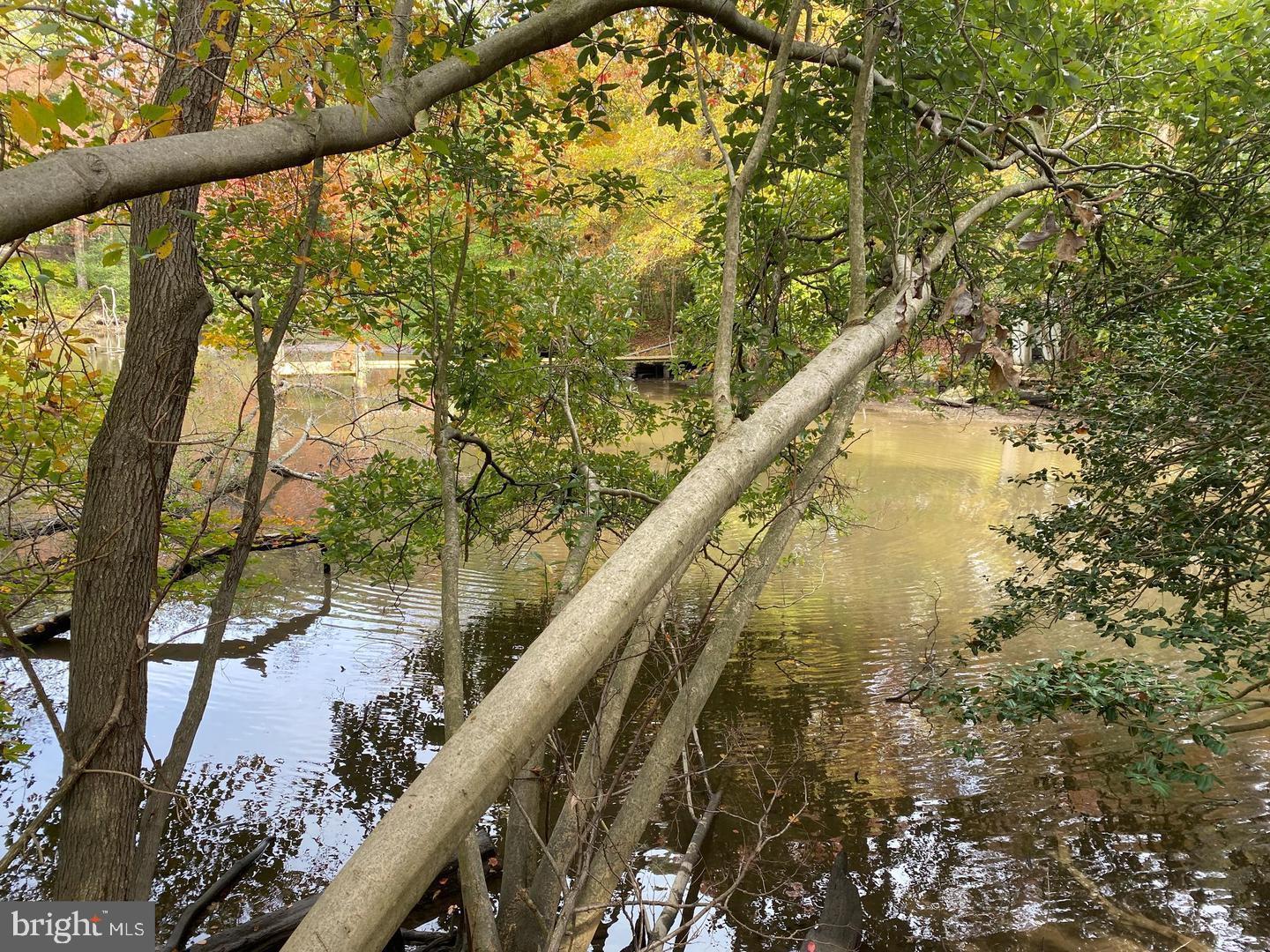 ROCK VIEW BEACH - Residential Lease