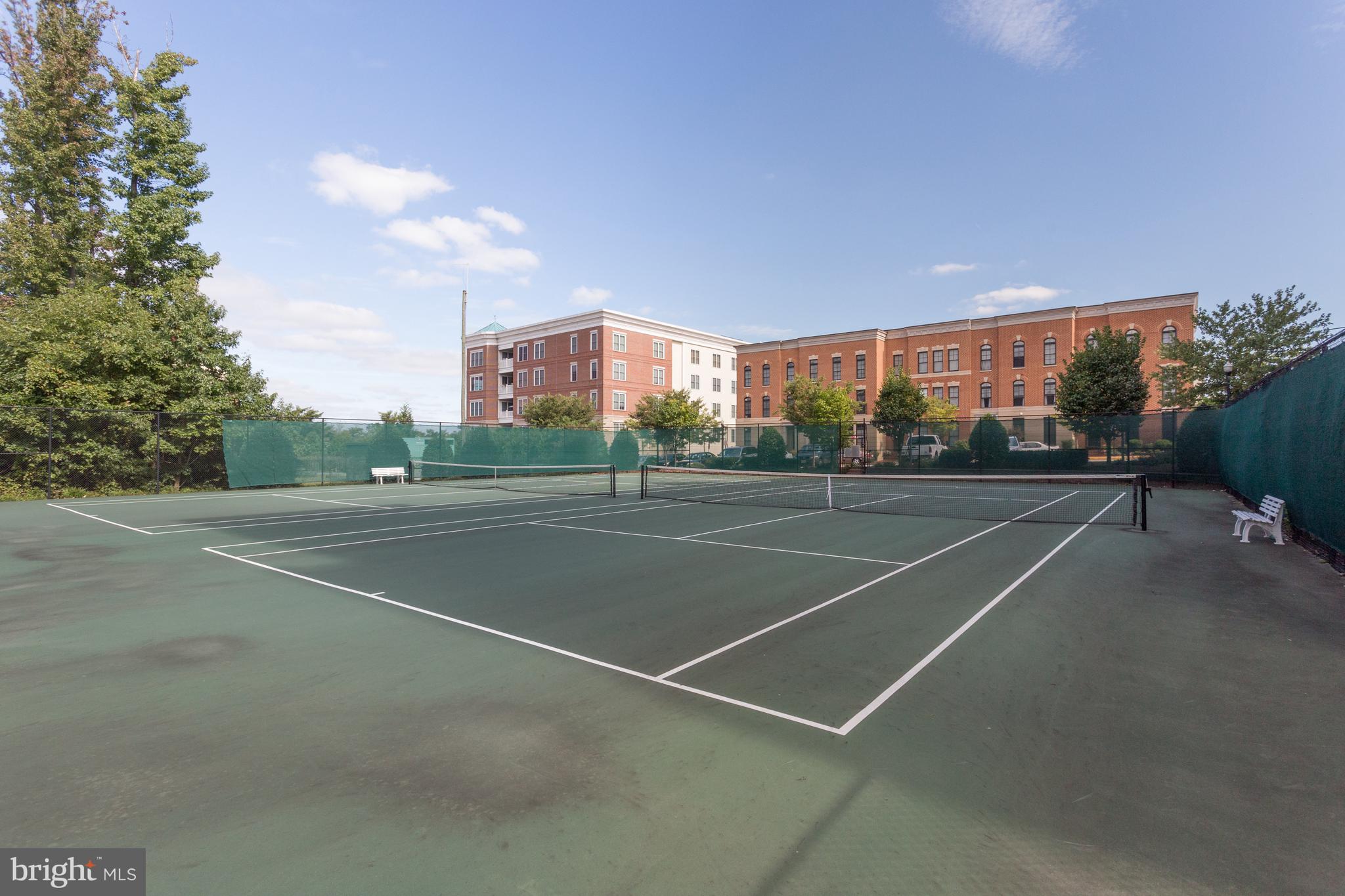 BELMONT BAY - Residential