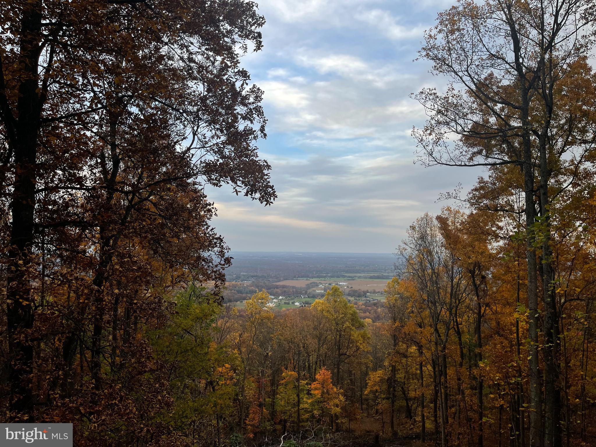 BULL RUN ESTATES - Residential