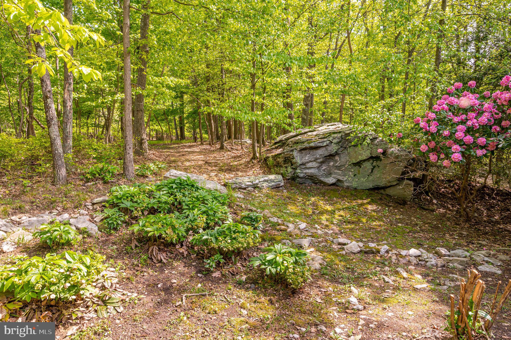 EAGLES NEST SOUTH - Residential