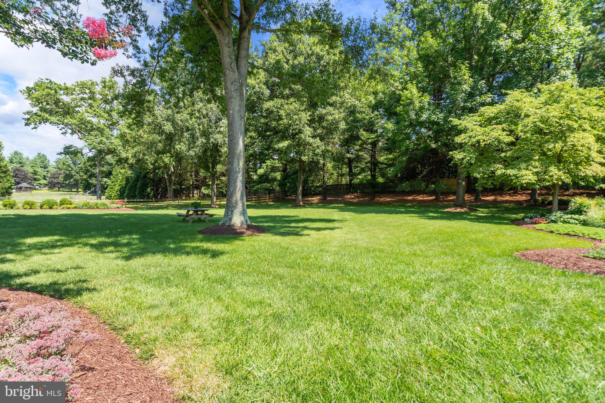 PLAINFIELD ORCHARDS - Residential