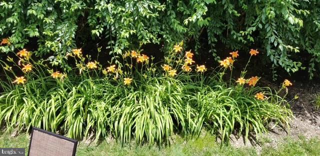 BEACON HILL - Residential