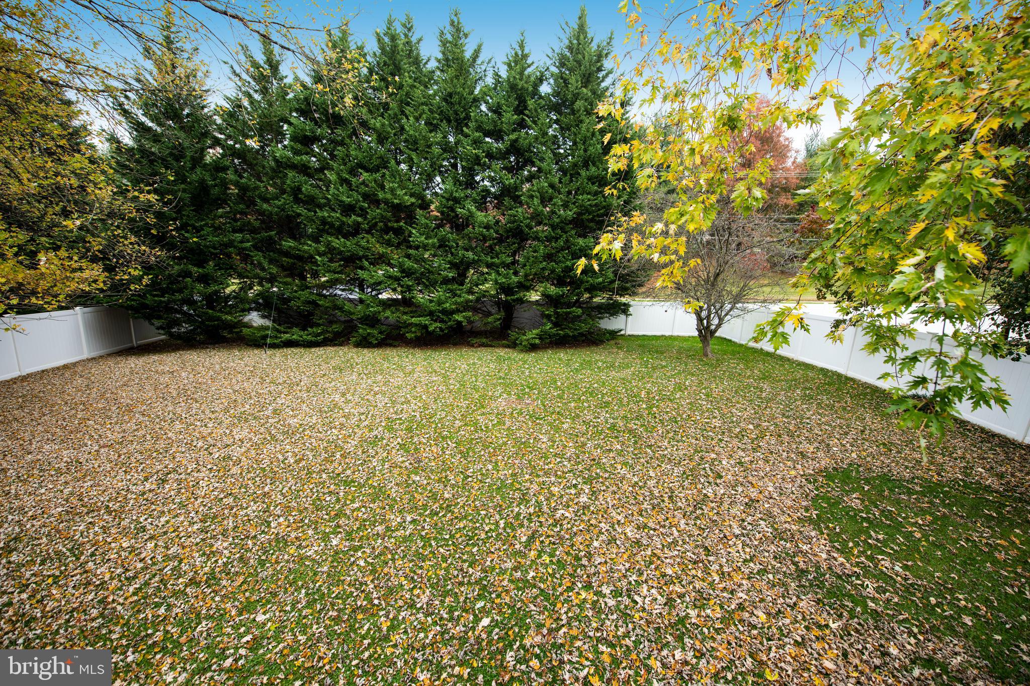 CONSTANT FRIENDSHIP - Residential