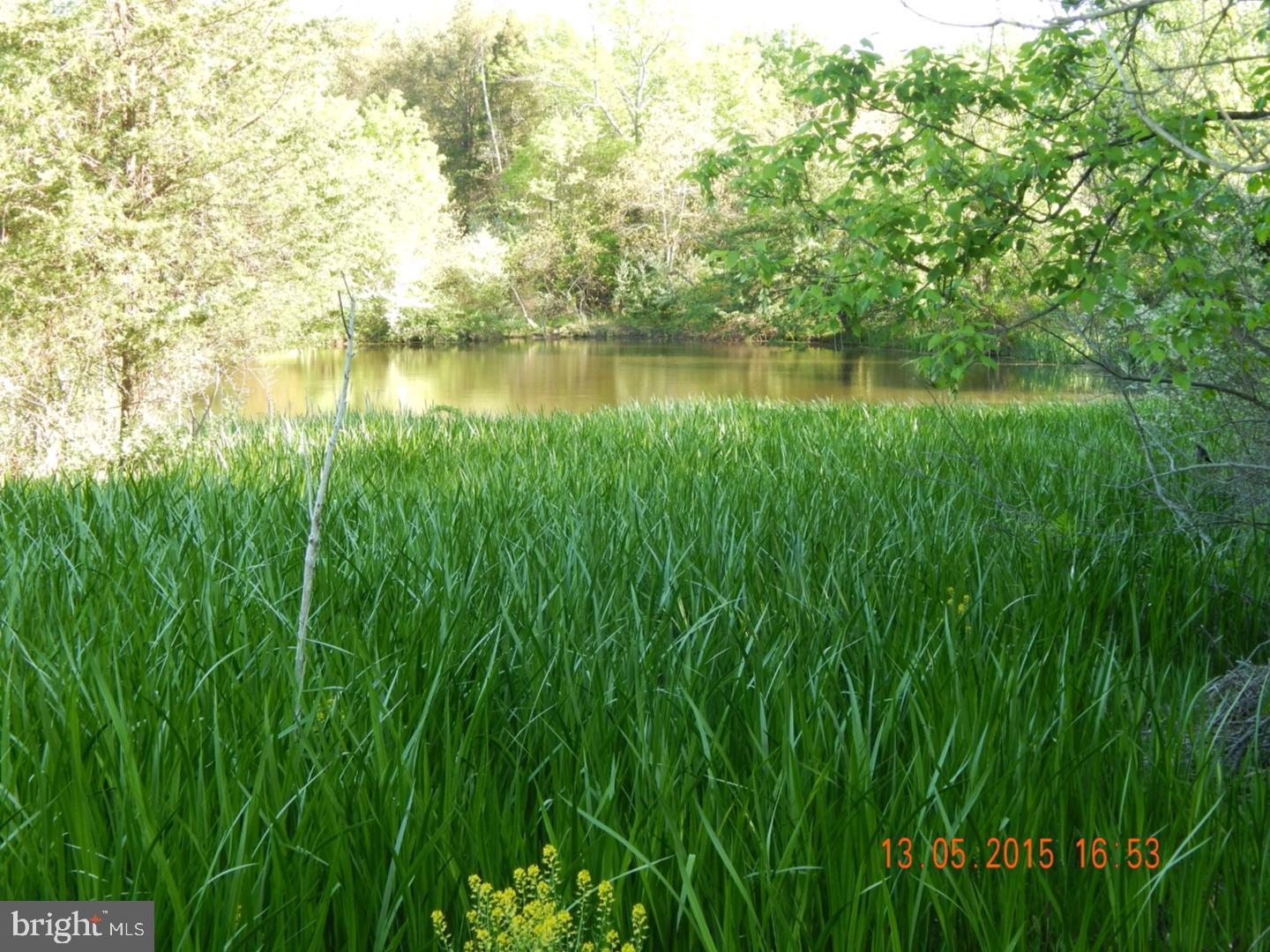 295 E DARK HOLLOW ROAD