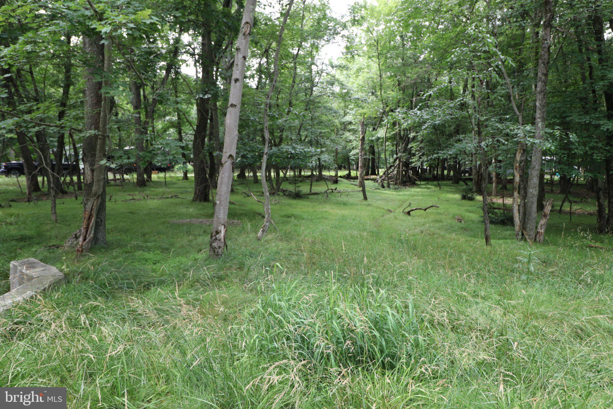 LONG BROOK WAY & WOODLAND ROAD
