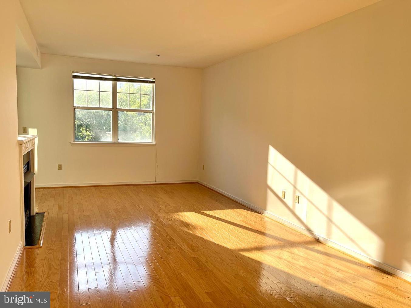 1625 INTERNATIONAL DRIVE 307