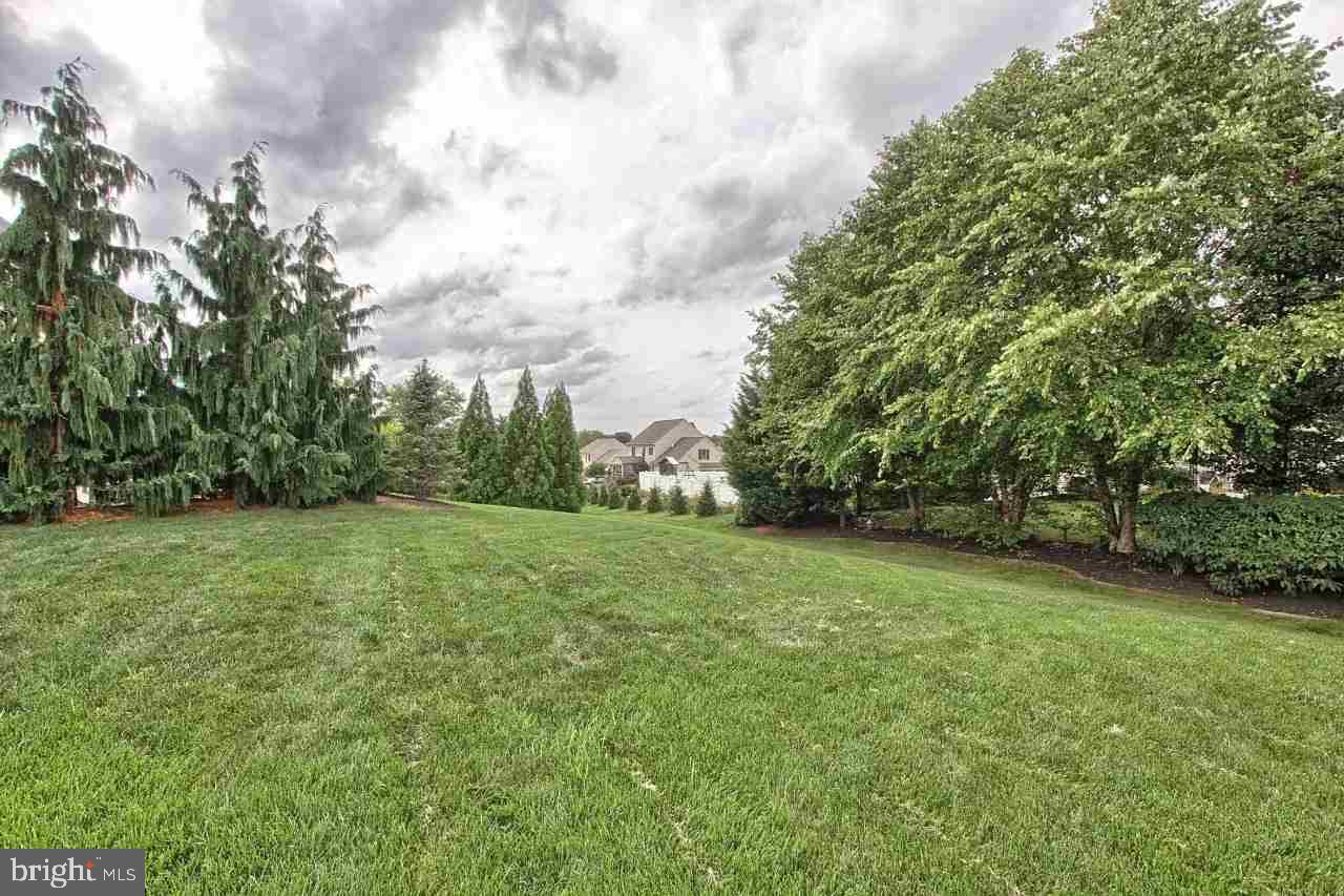 CHESTNUT RIDGE - Residential