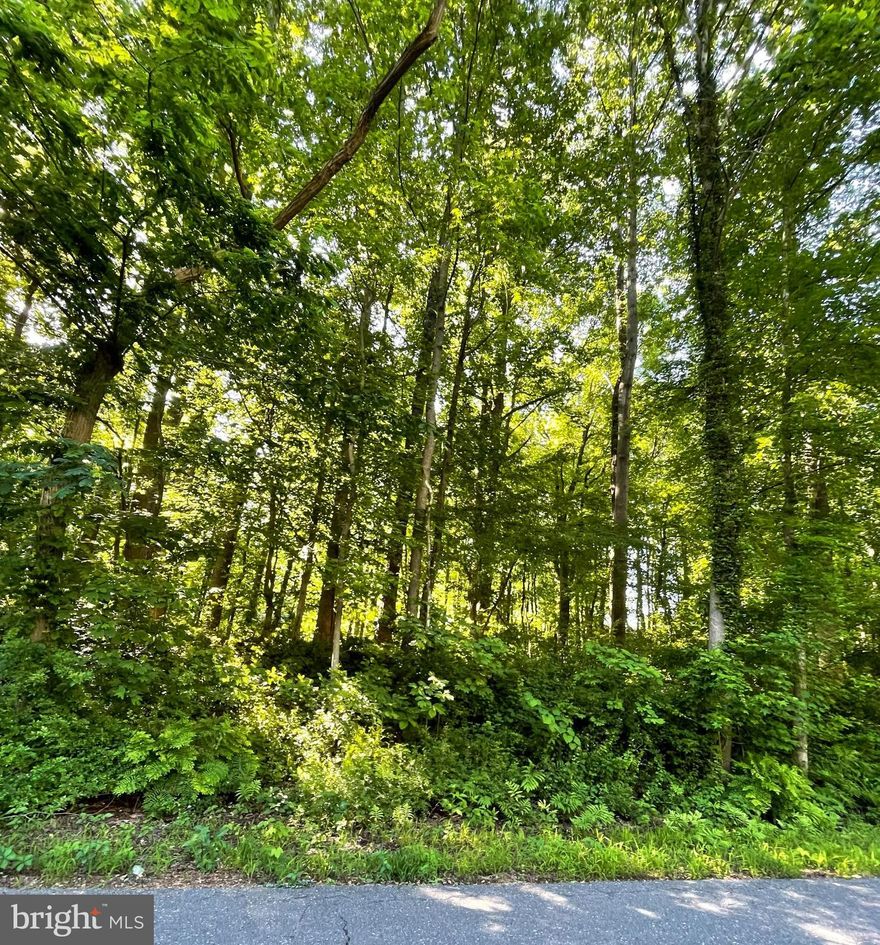 Raw land available in Chesapeake Heights located in Prince Frederick, Maryland.