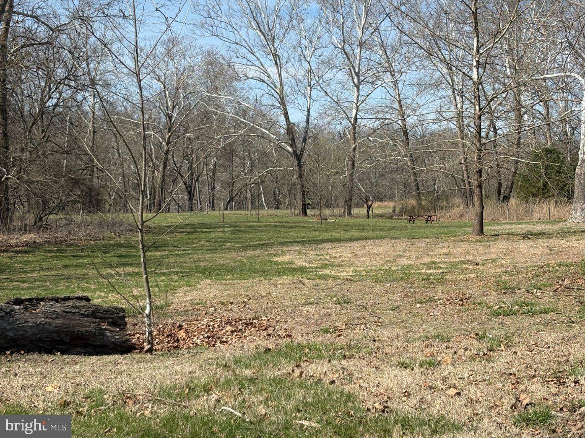 CALMES NECK ESTATES - Land