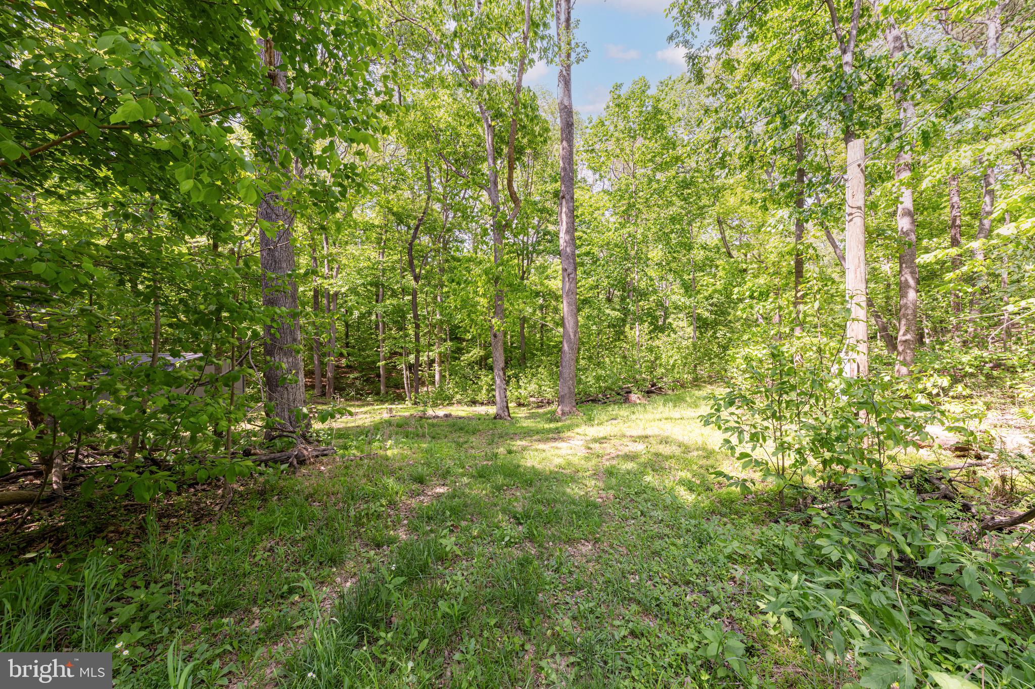 2900 CALMES NECK LANE LANE
