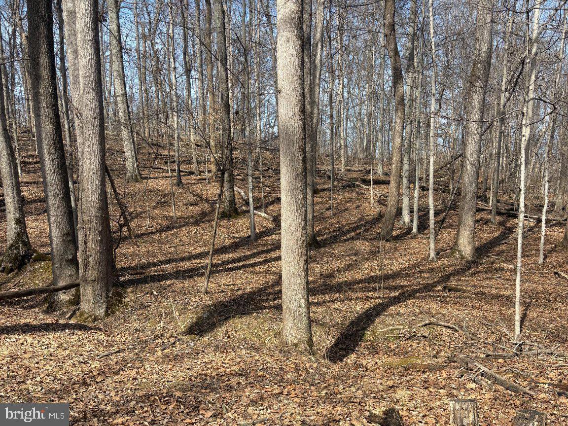 CALMES NECK ESTATES - Land