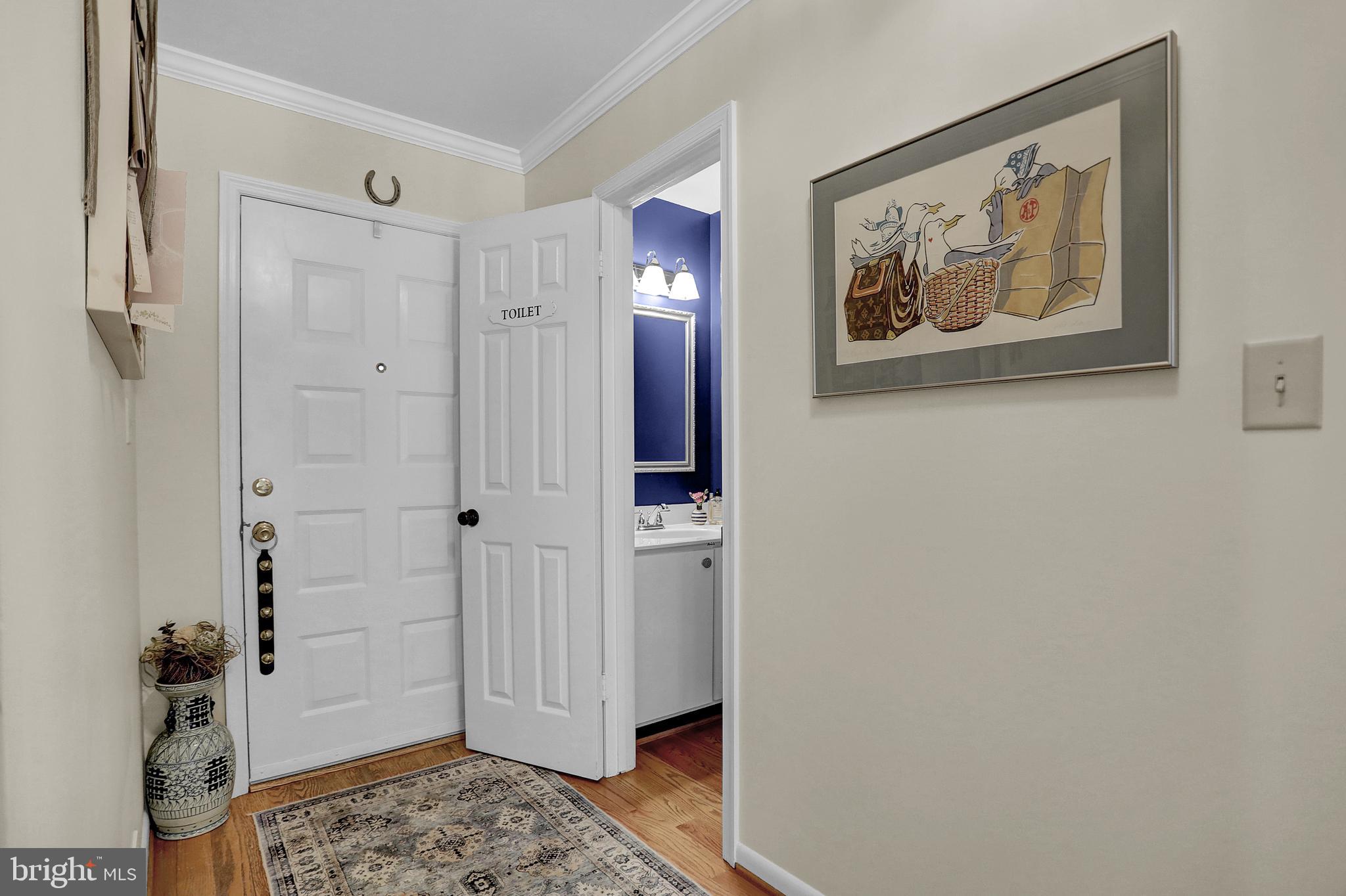 MAYS CHAPEL VILLAGE - Residential