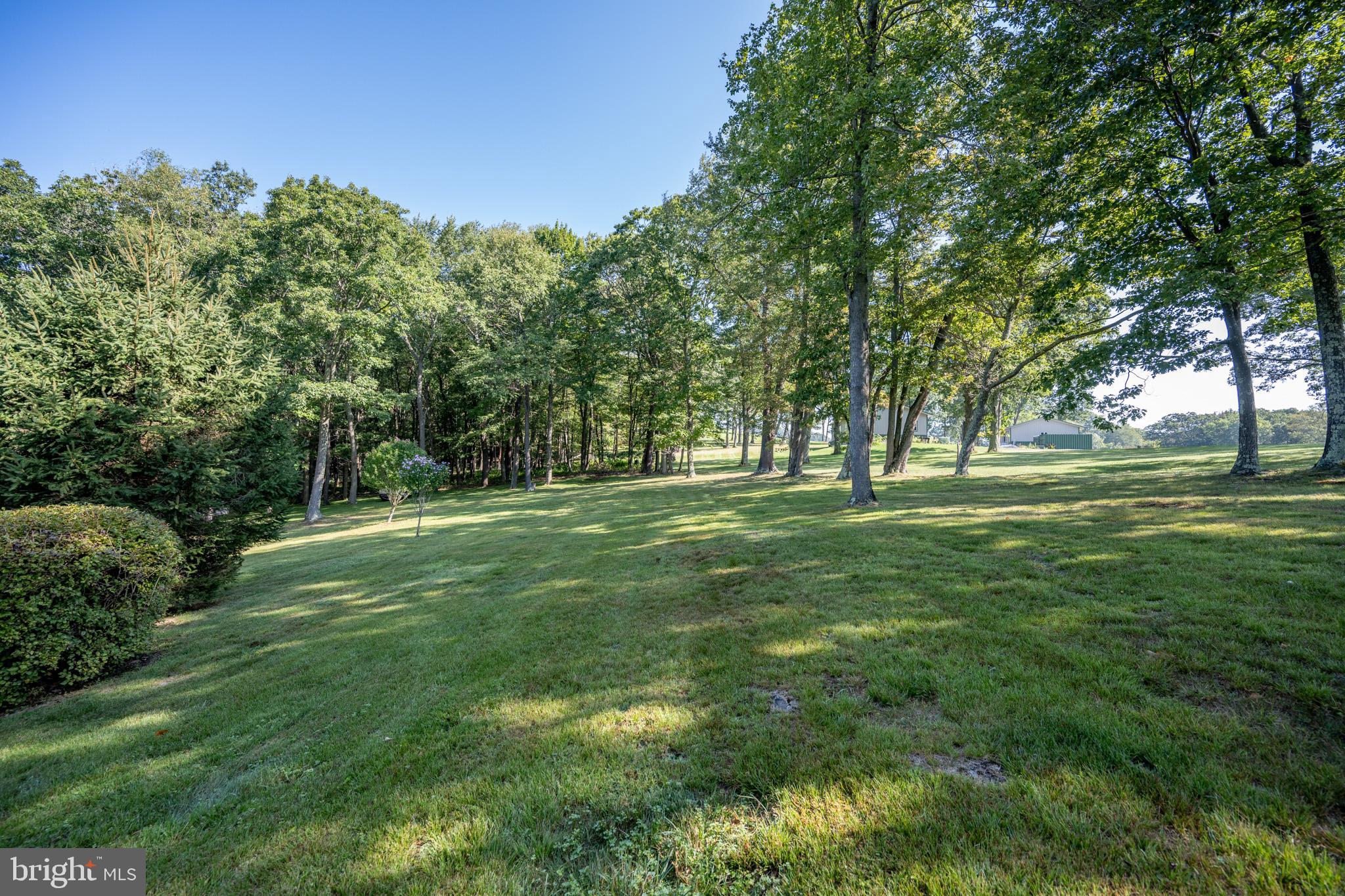 TURKEY NECK - Residential