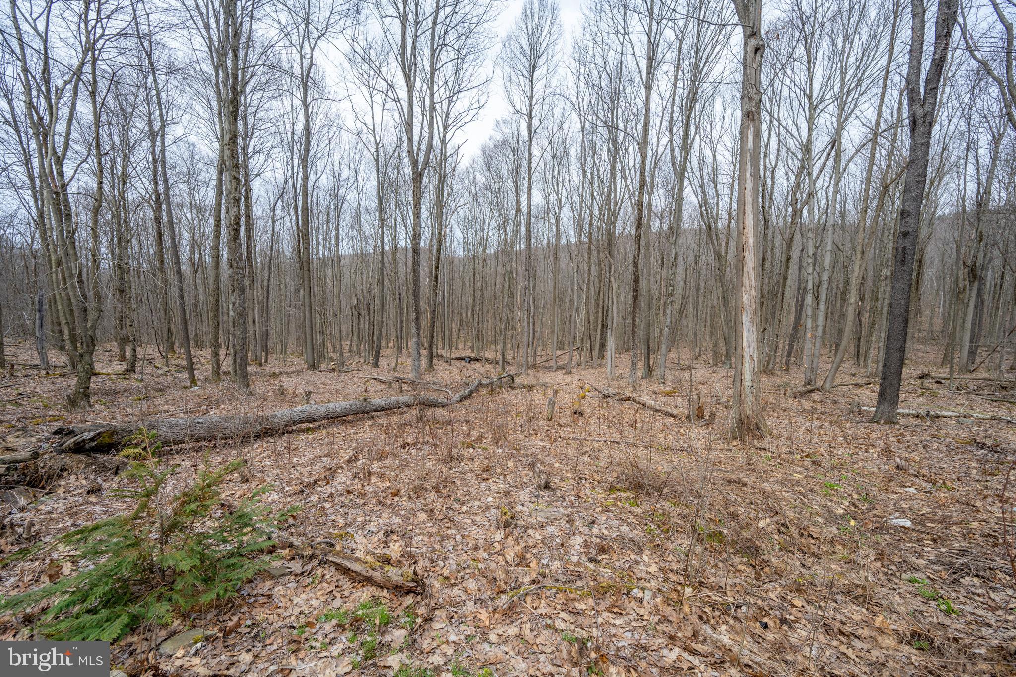 APPALACHIAN VILLAGE - Residential