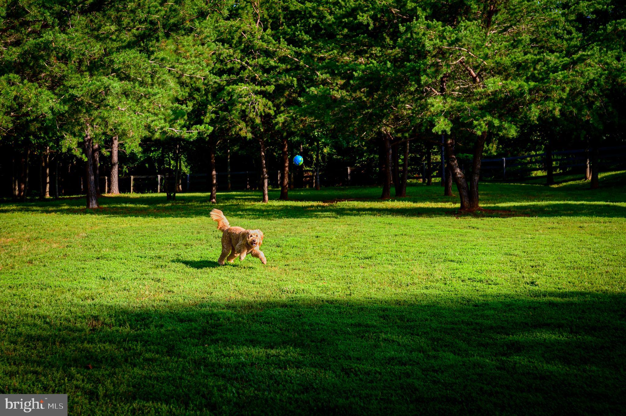 FAWN LAKE - Residential