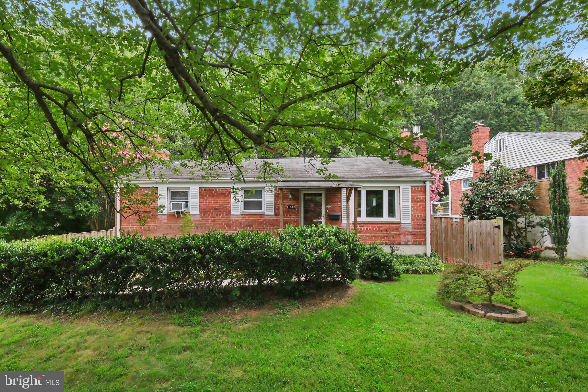 11513 ASHLEY DRIVE
