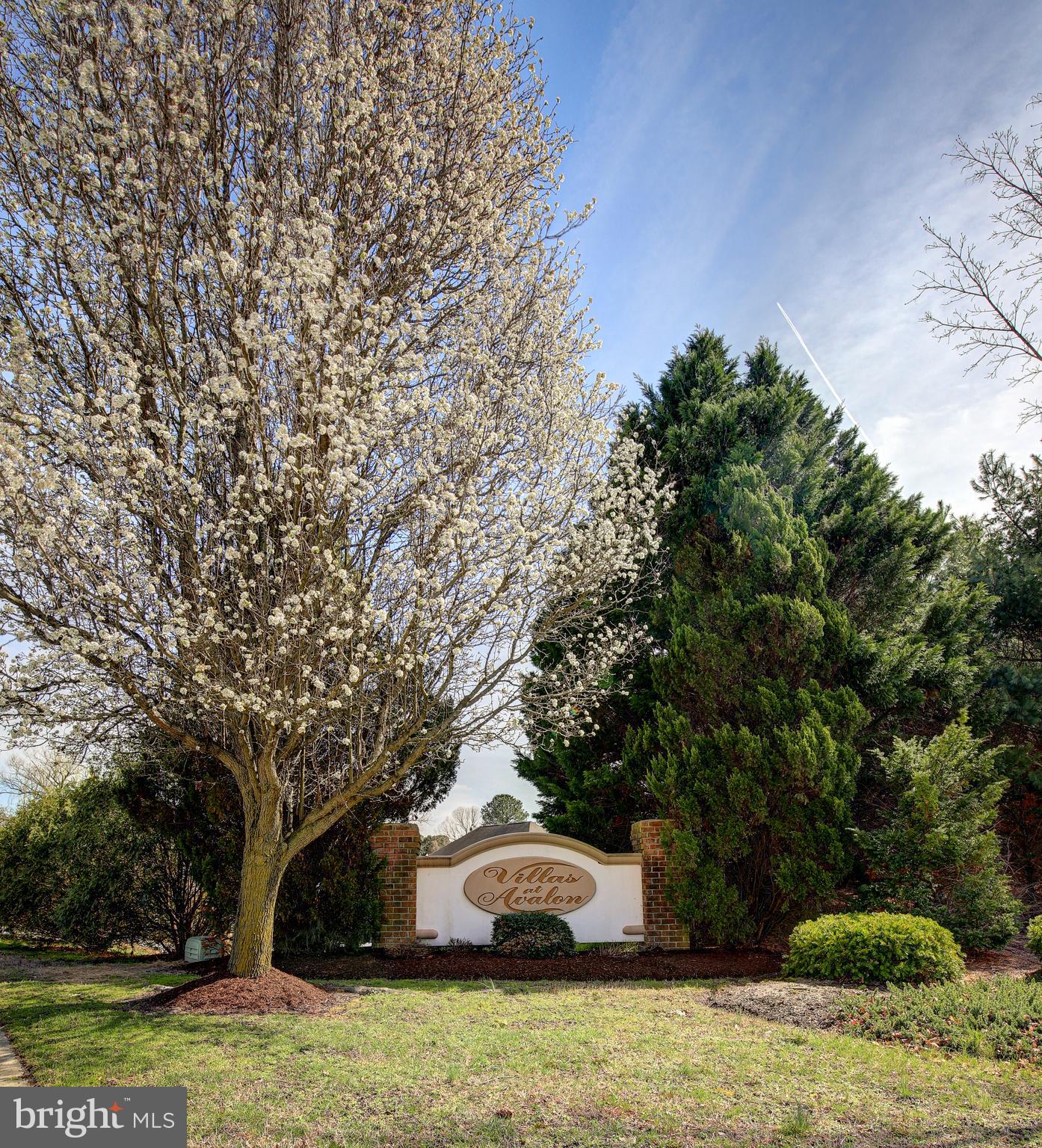 AVALON RETIREMENT COMM - Residential