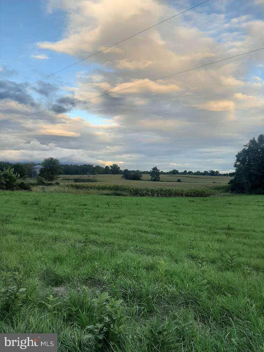 Unique Opportunity in Lewis Township and Turbotville Boro. Three parcels totaling approximately 81 acres. Parcel #1 (approx. 40 acres) borders 2,100 ft. of Norfolk Southern Railroad railway with possible connection. This parcel is Zoned Industrial according to owner. Parcel #2 (34.57 acres) Zoned Agricultural is located in Turbotville Boro. Parcel #3 (4 acres) Zoned Commercial Vacant is located in Turbotville Boro and has an 18 ft. right-of-way to Virgin Lane. Parcels #1 and #2 are currently farmed by local farmer (Corn Crop). All parcels have access to natural gas, public sewer and public water hook-up. Call list agents for details.