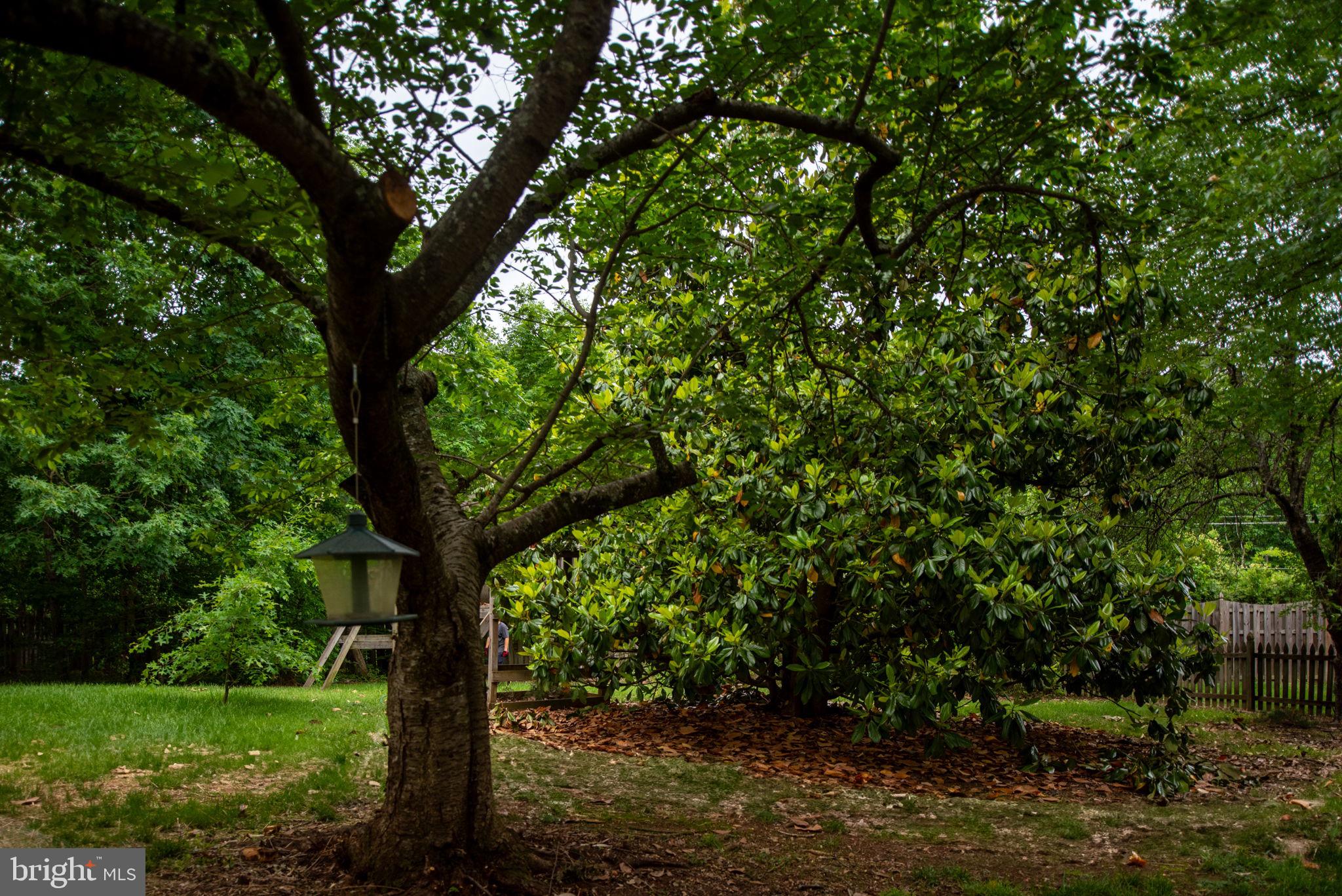 FOX POINT - Residential