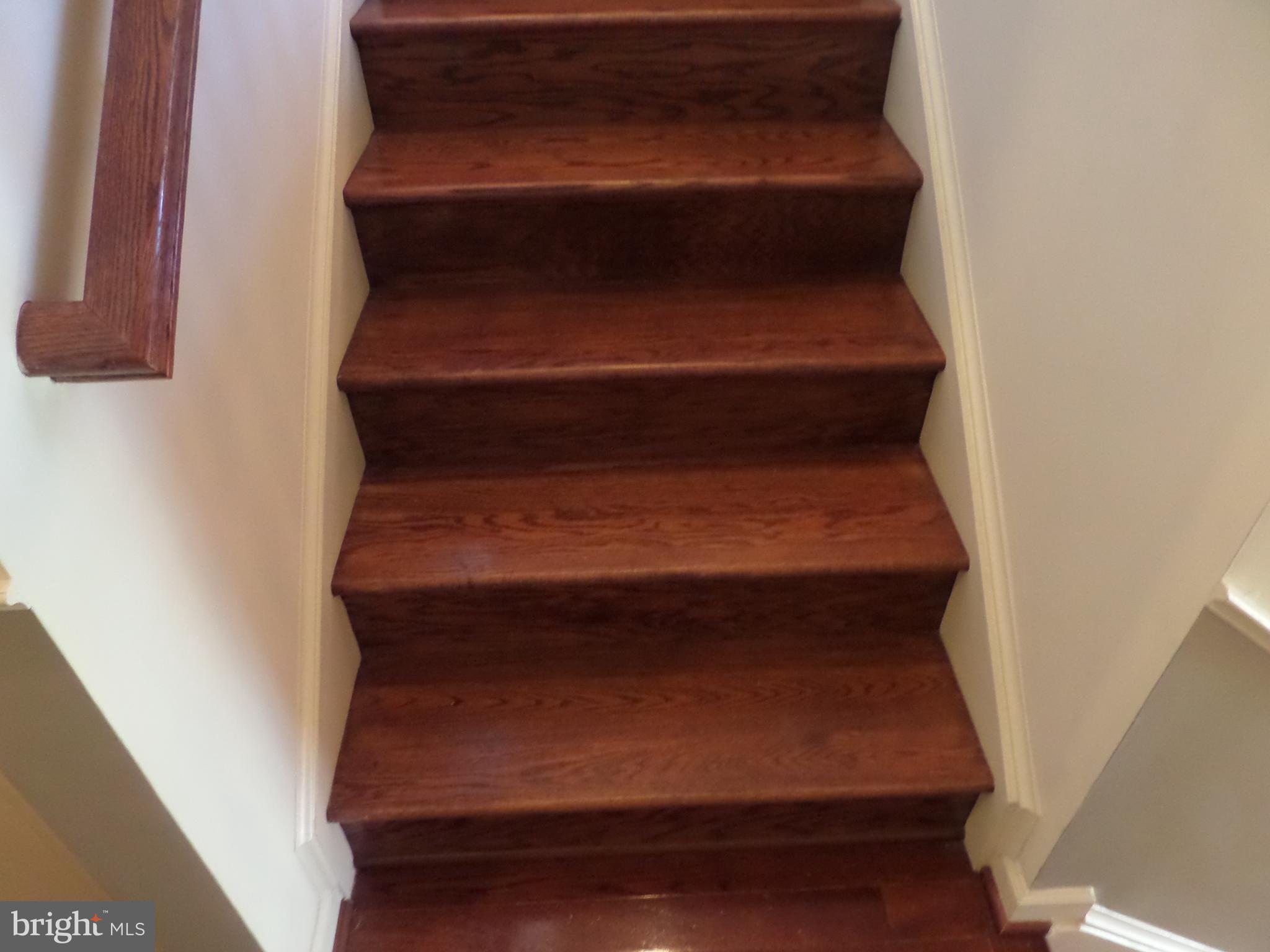 6679 BARTRAMS FOREST LANE