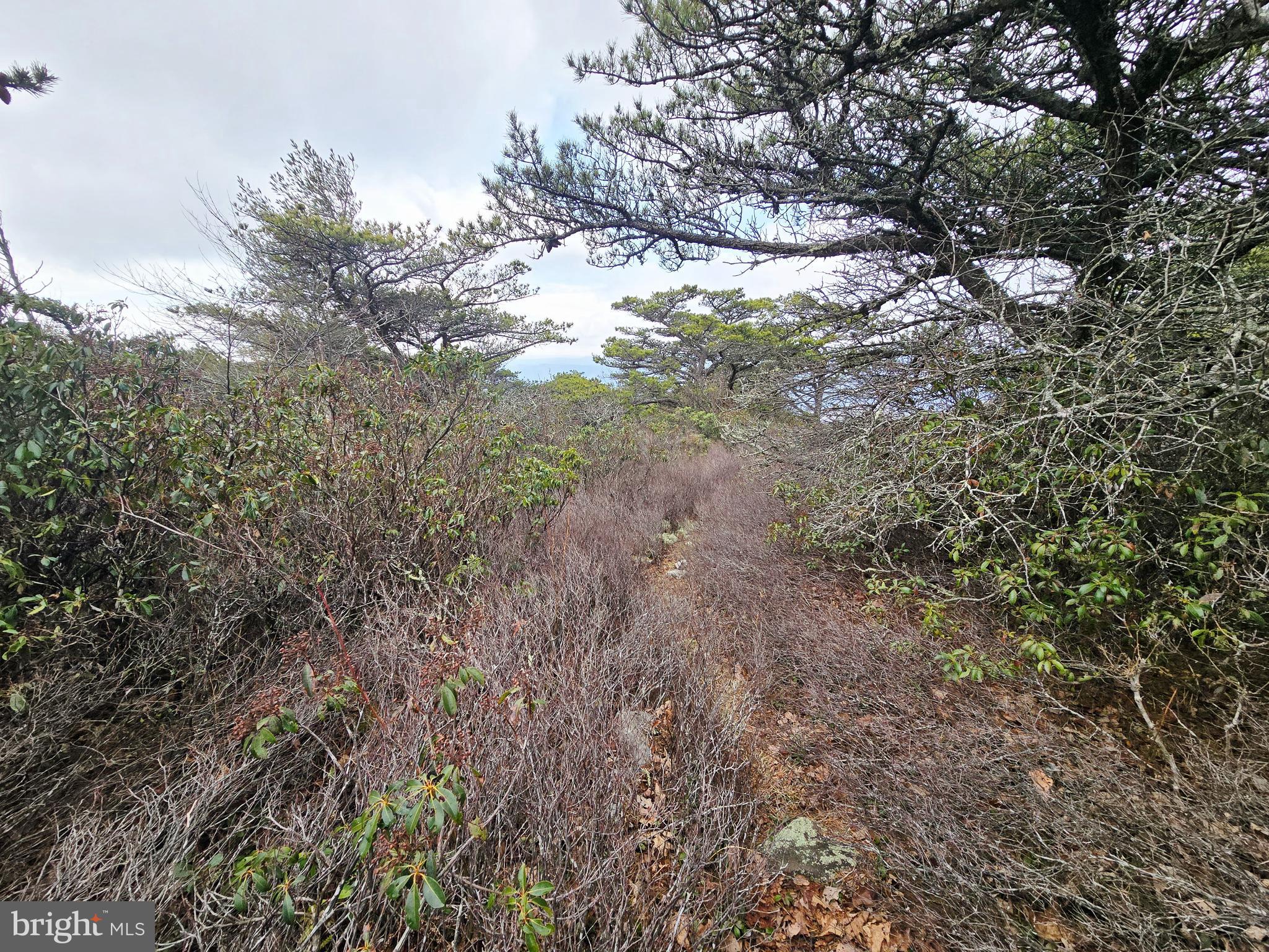 KILE KNOB - Residential