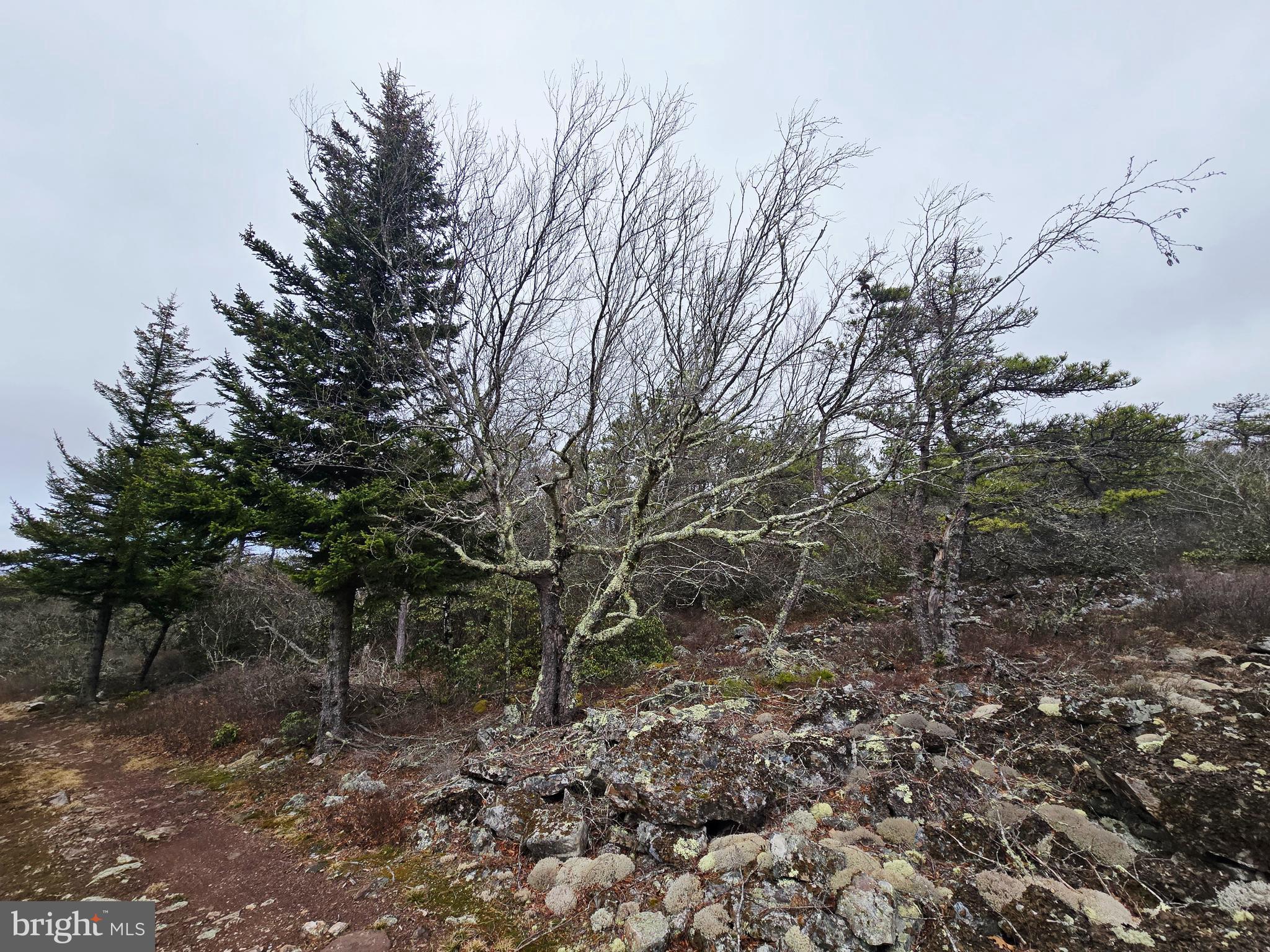 KILE KNOB - Residential