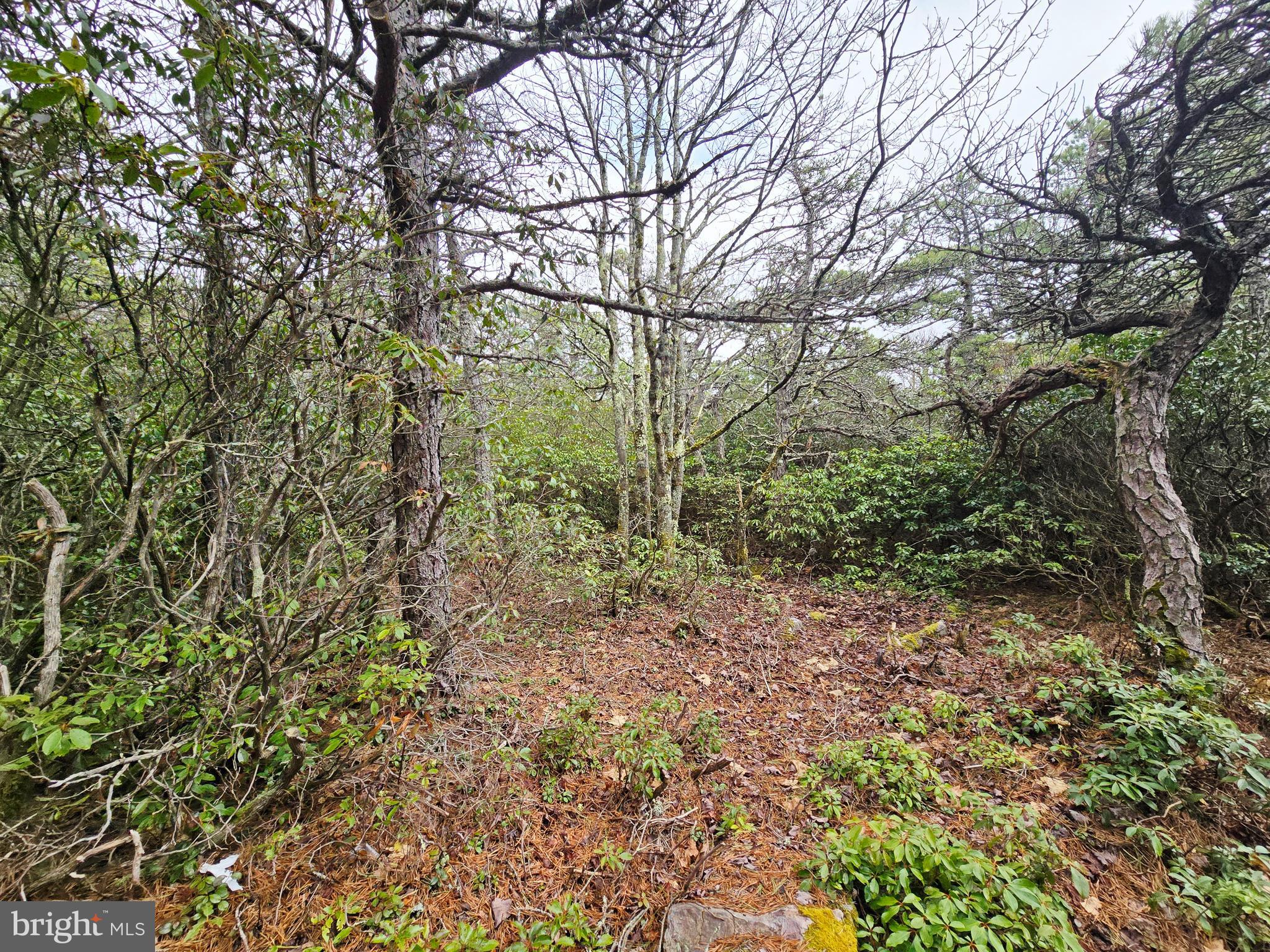 KILE KNOB - Residential