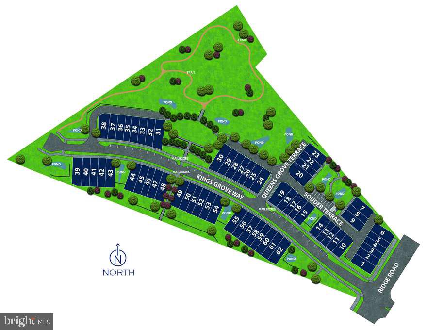 RESERVE AT DAMASCUS - Residential