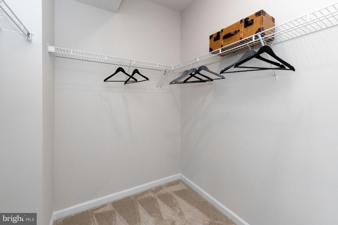 RESERVE AT DAMASCUS - Residential