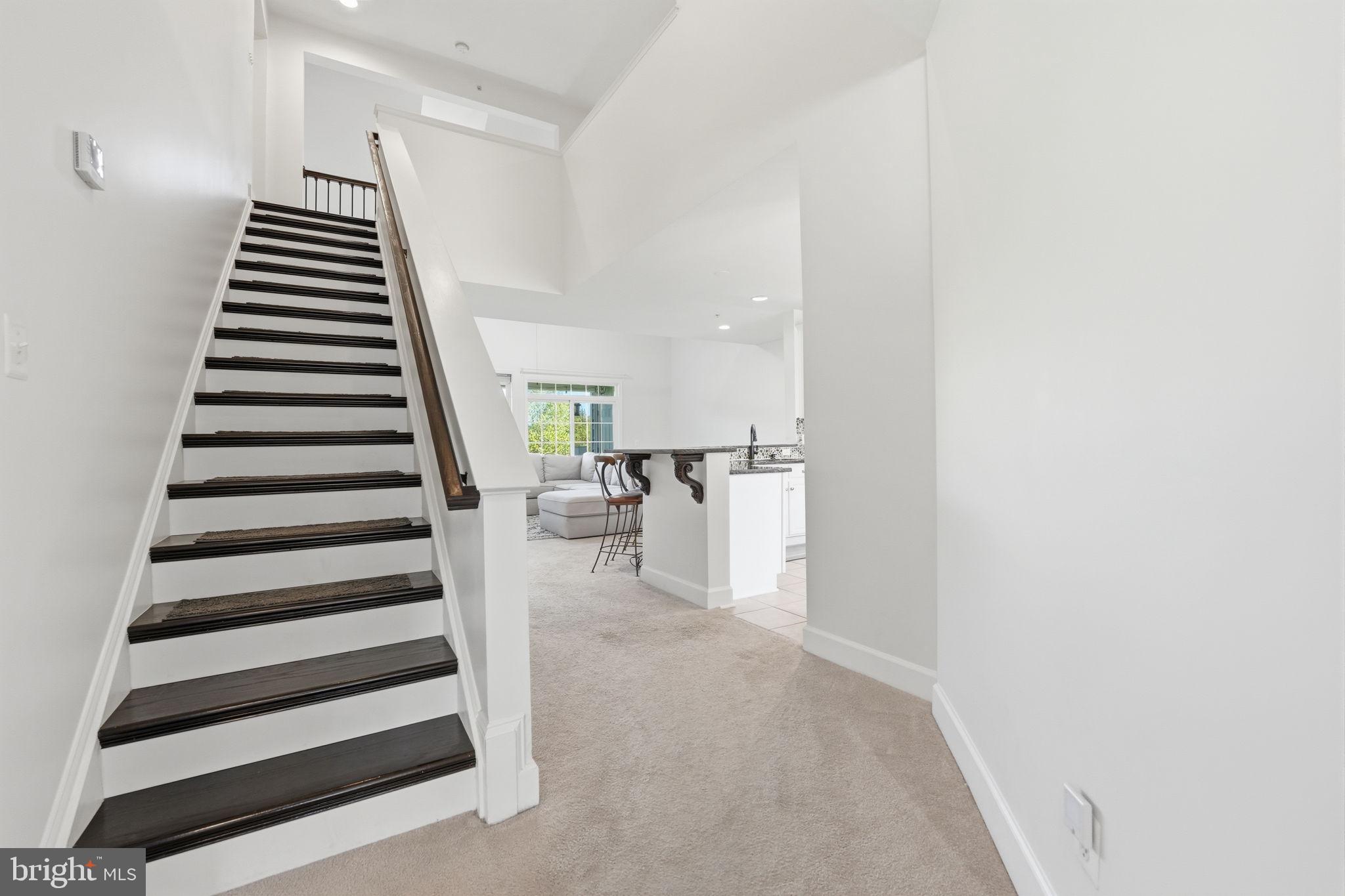 BELMONT BAY - Residential