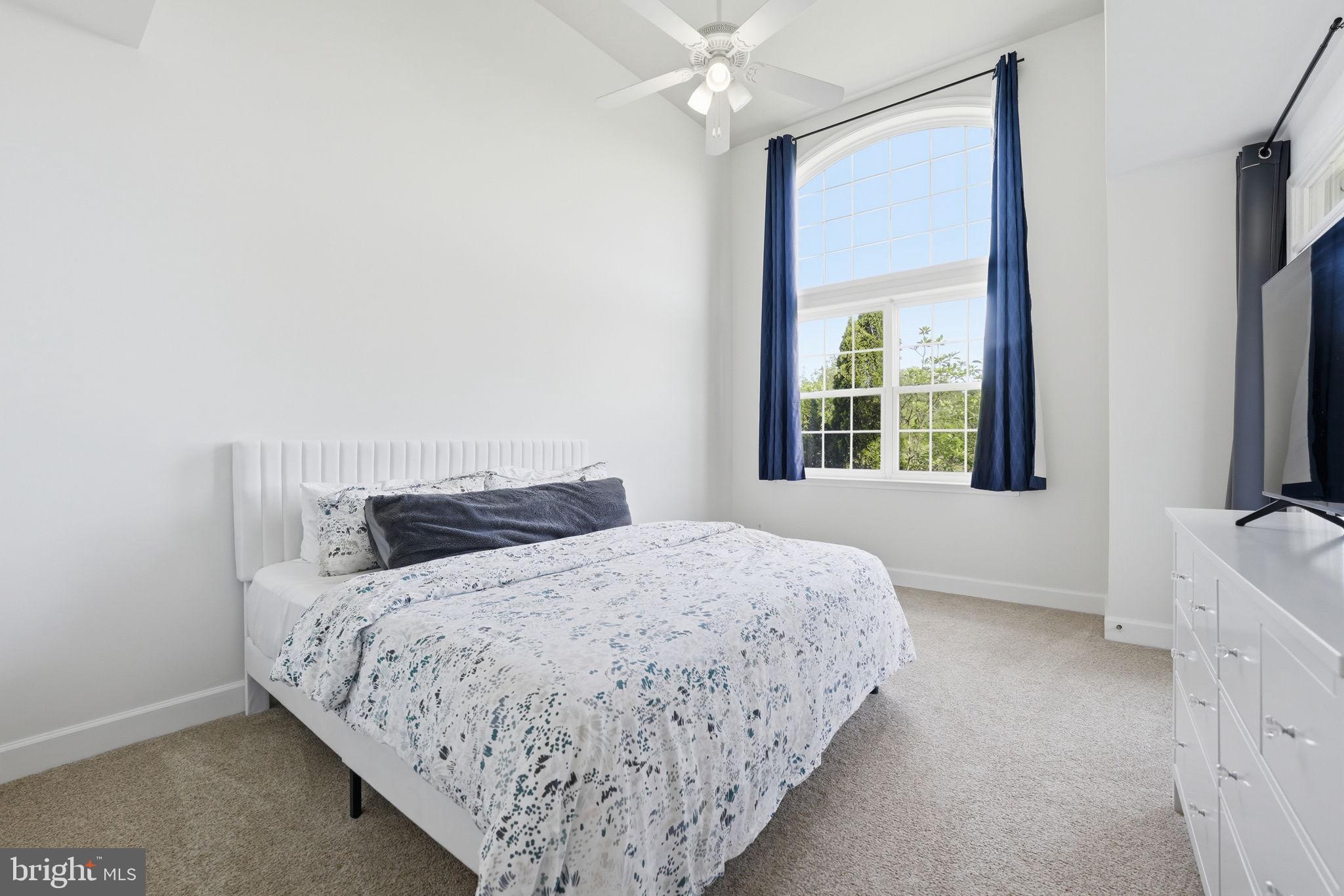 BELMONT BAY - Residential