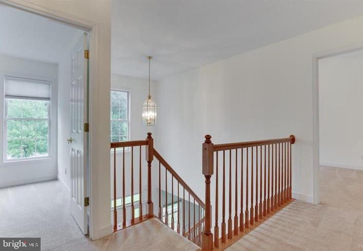 BROOKLEIGH WOODS - Residential Lease