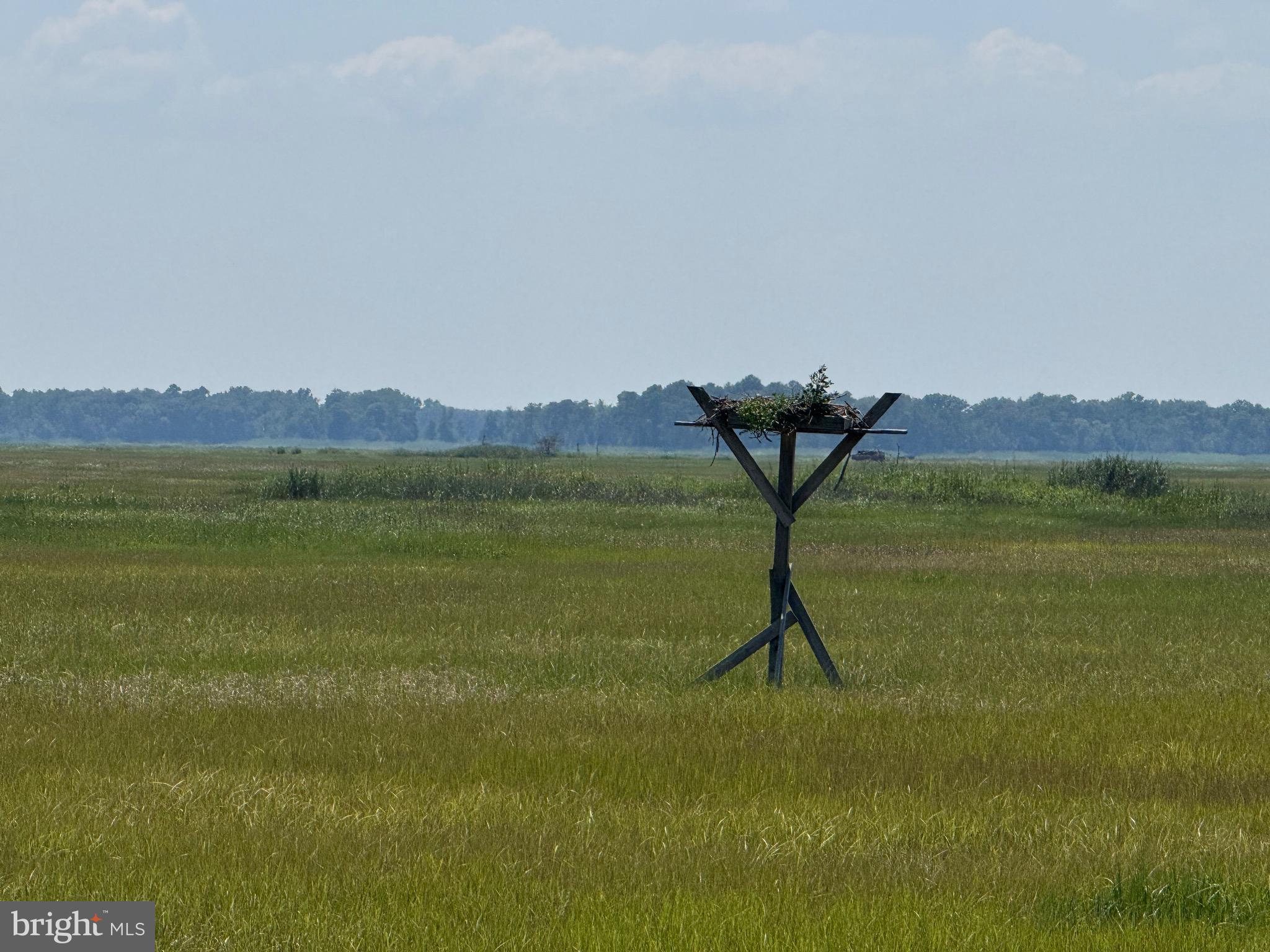 SLAUGHTER BEACH - Residential