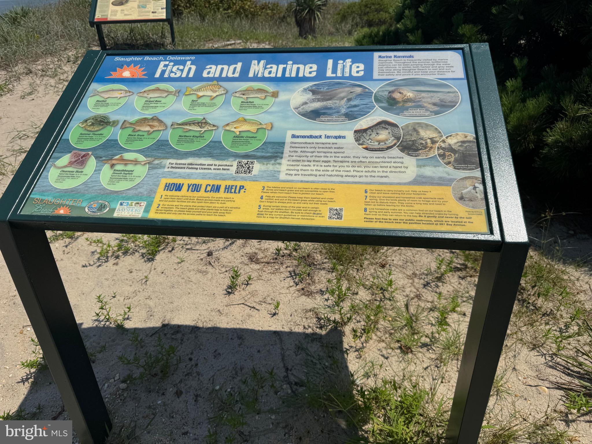 SLAUGHTER BEACH - Residential